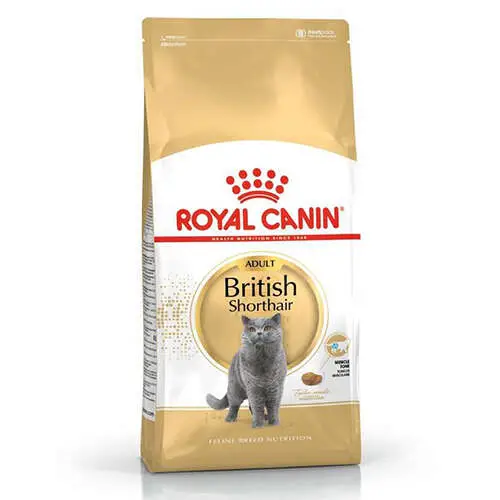 Royal Canin British Shorthair Irk Kedi Maması 4 Kg 