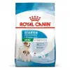 Royal Canin Mini Starter Küçük Irk Anne ve Yavru Köpek Maması 4 Kg 