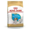 Royal Canin Cavalier King Charles Puppy Yavru Köpek Maması 1,5 Kg