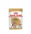 Royal Canin Pouch Poodle Irkı Özel Yaş Köpek Maması 85 Gr