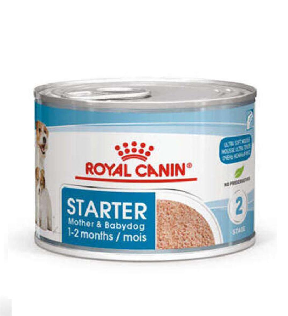 Royal Canin Starter Mousse Anne ve Yavruları İçin Köpek Konservesi 195 Gr