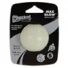 Chuckit Max Glow Gece Parlayan Köpek Oyun Topu (Küçük Boy)